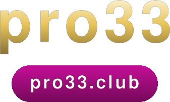 pro33 logo